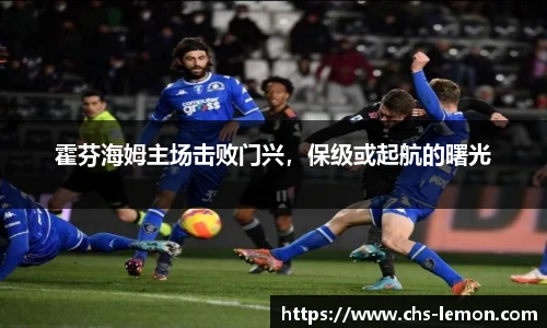 霍芬海姆主场击败门兴，保级或起航的曙光